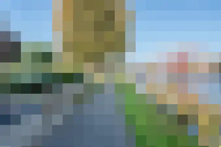 Zuidzijde 55 Bodegraven thumbnail 47