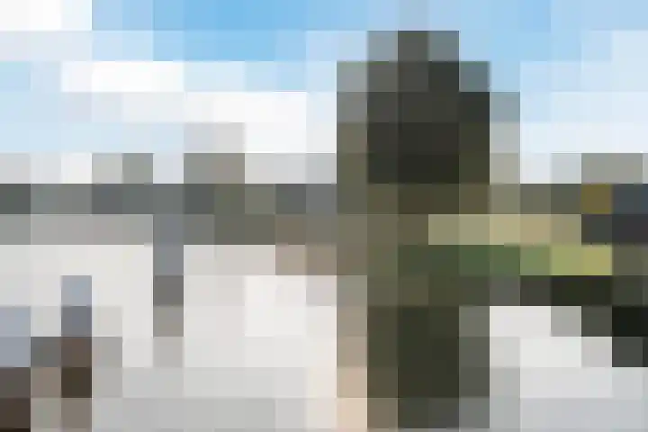Zuidzijde 55 Bodegraven thumbnail 48