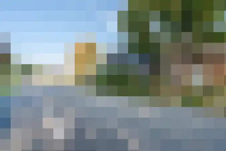 Zuidzijde 55 Bodegraven thumbnail 7