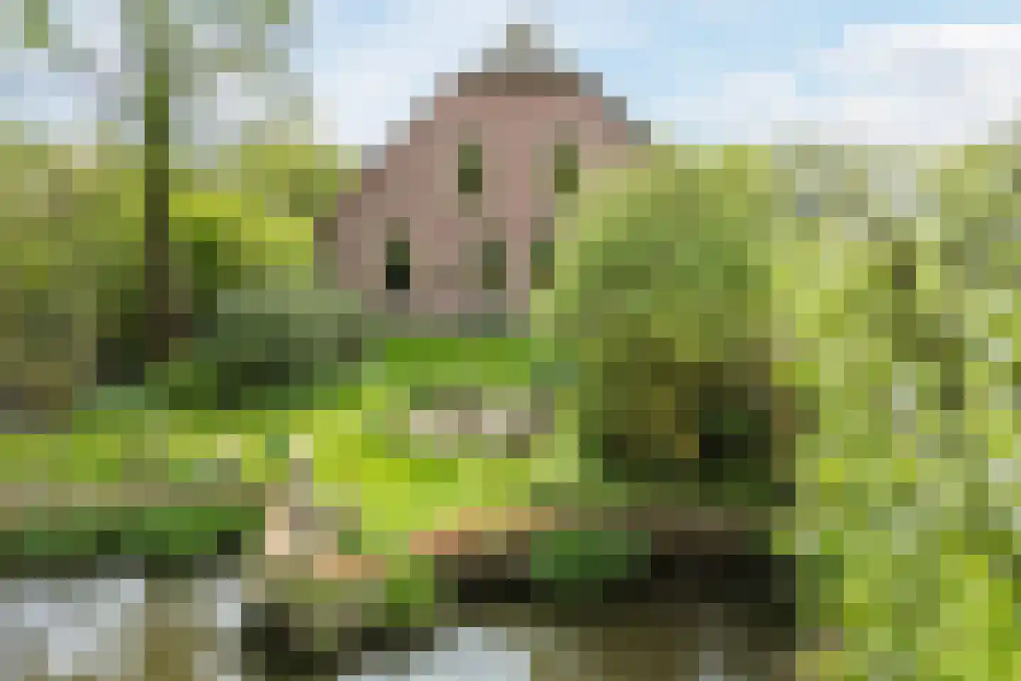 Zuidzijde 67 Bodegraven thumbnail 12