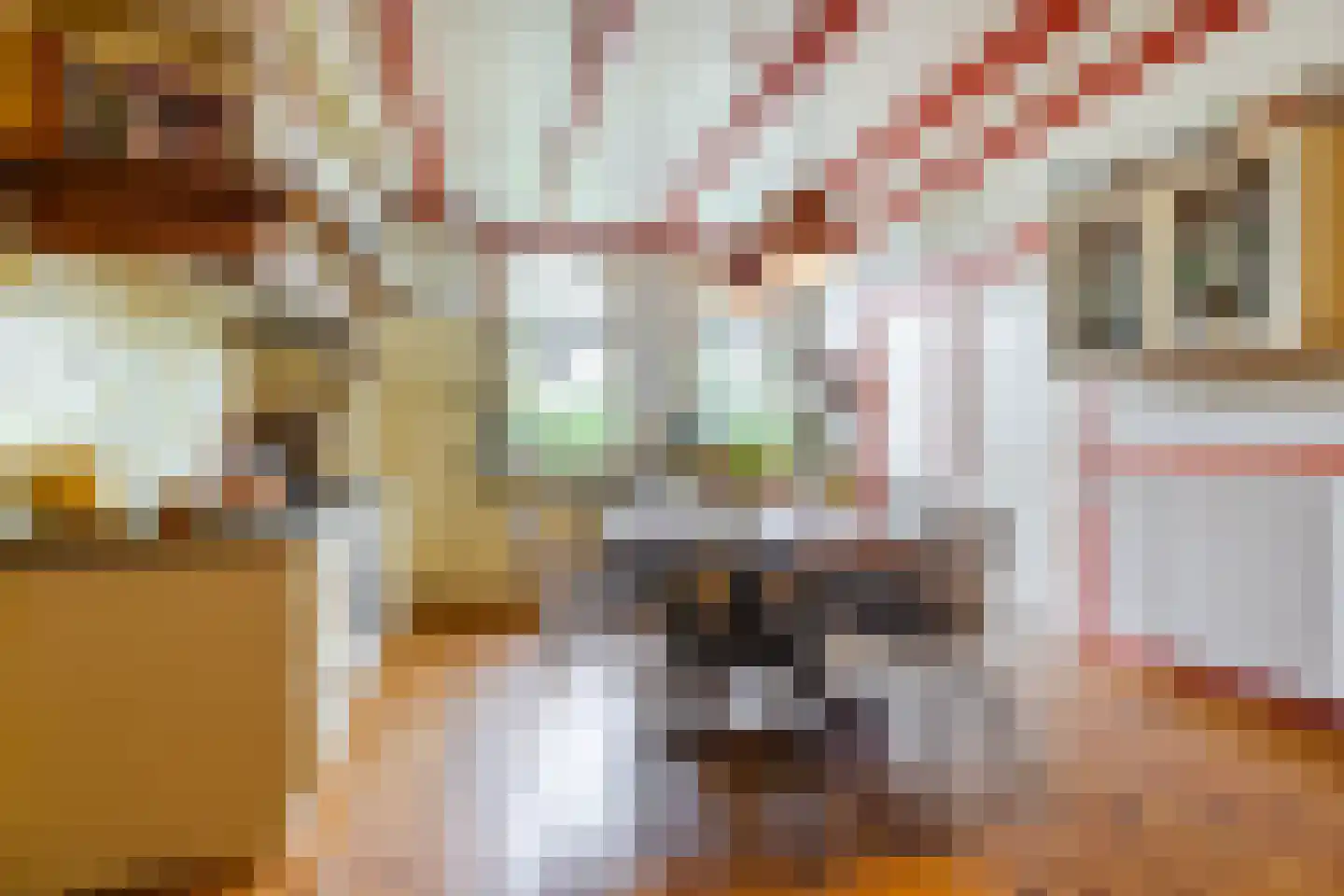Zuidzijde 67 Bodegraven thumbnail 22
