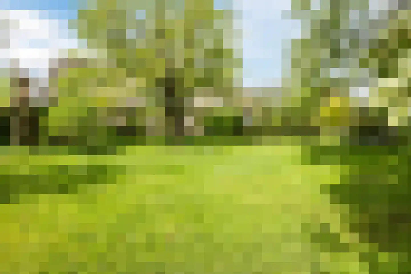 Zuidzijde 67 Bodegraven thumbnail 34