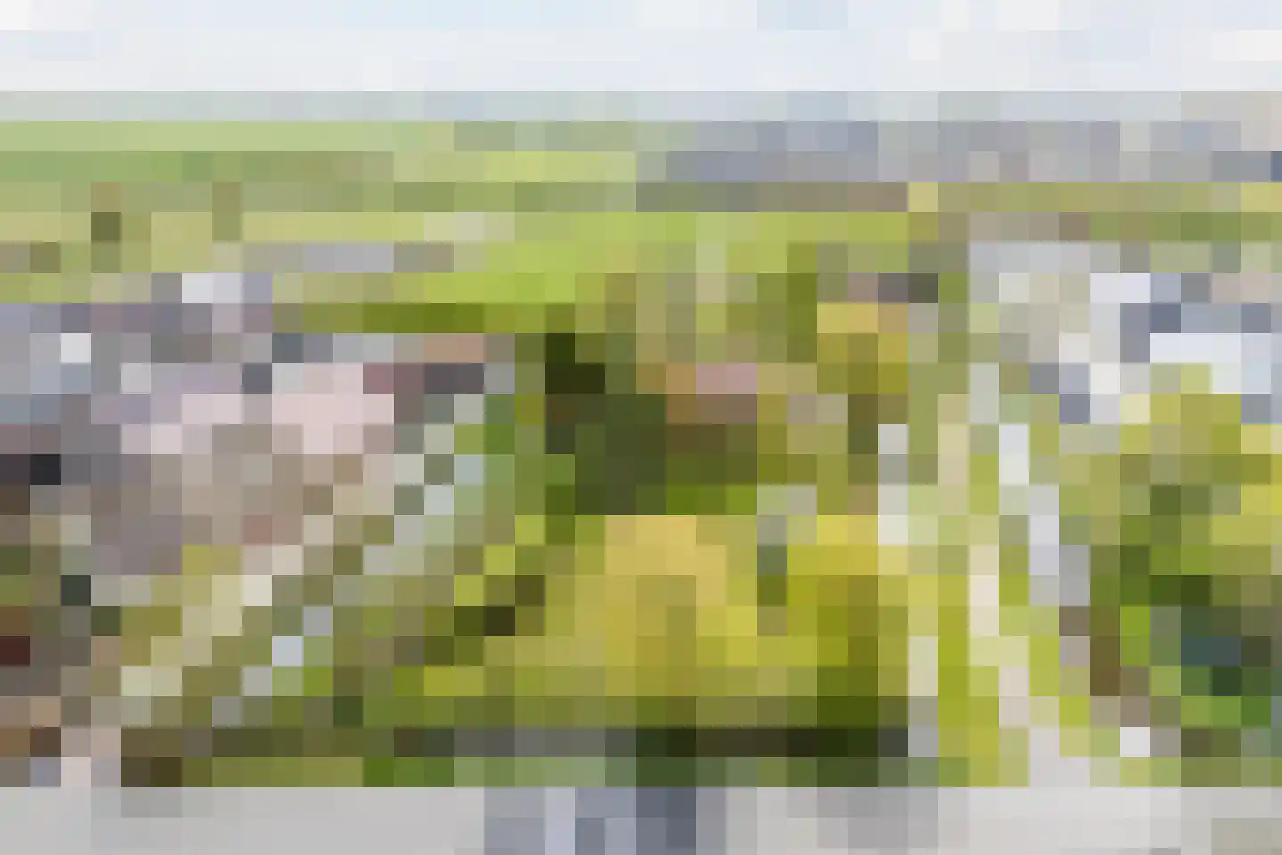 Zuidzijde 67 Bodegraven thumbnail 6