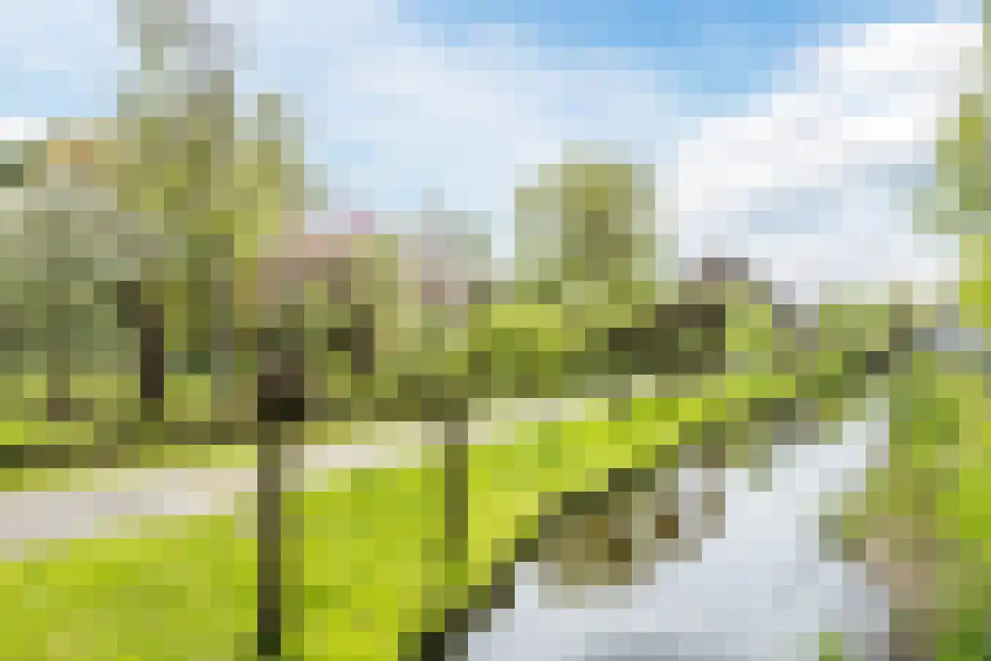 Zuidzijde 67 Bodegraven thumbnail 7