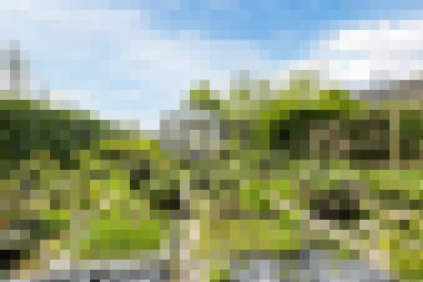 Zuidzijde 67 Bodegraven thumbnail 73