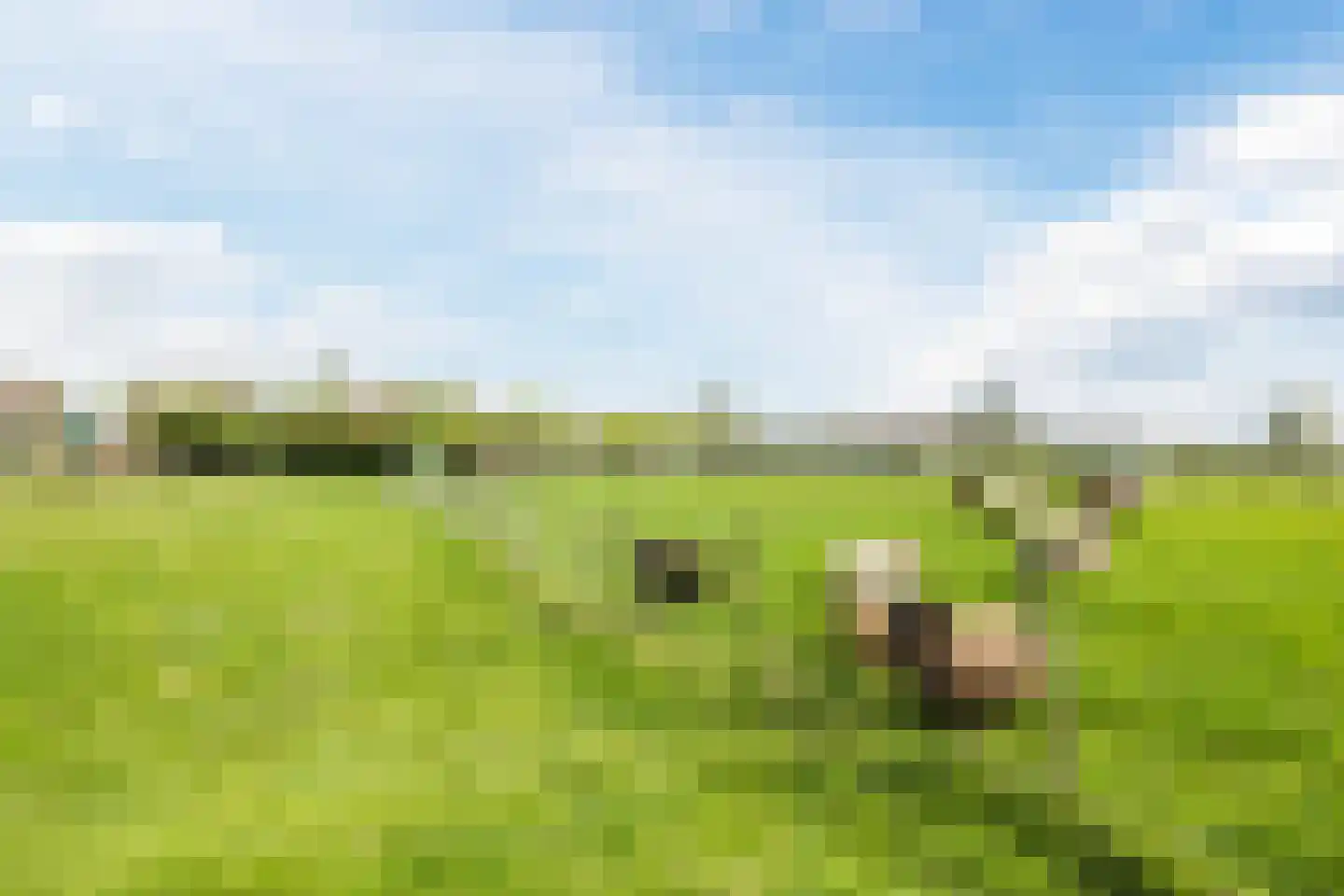Zuidzijde 67 Bodegraven thumbnail 76