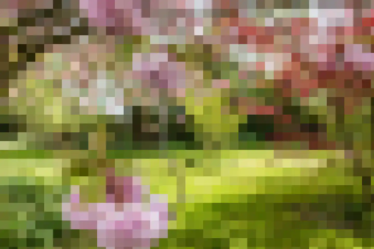 Zuidzijde 67 Bodegraven thumbnail 78
