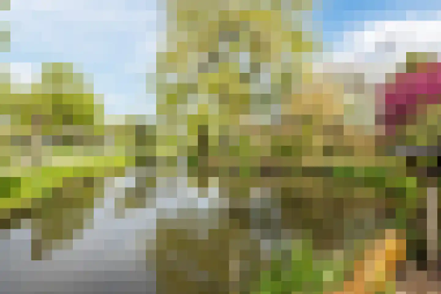 Zuidzijde 67 Bodegraven thumbnail 8