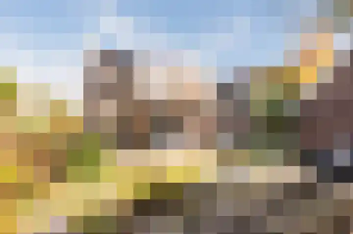 Zuidzijde 78 Bodegraven thumbnail 23