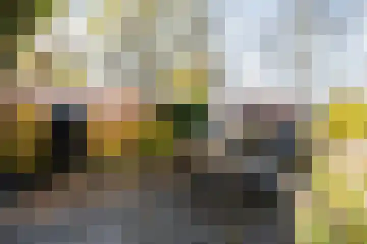 Zuidzijde 78 Bodegraven thumbnail 47