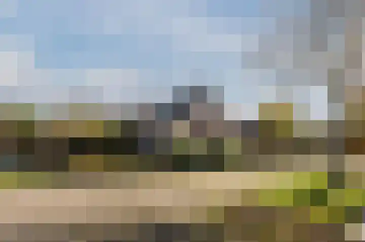Zuidzijde 78 Bodegraven thumbnail 5