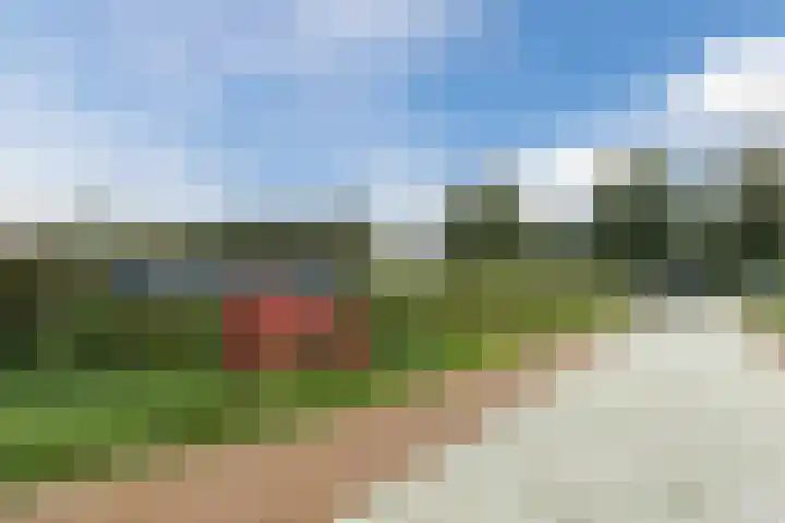 Zuidzijde 78 Bodegraven thumbnail 52
