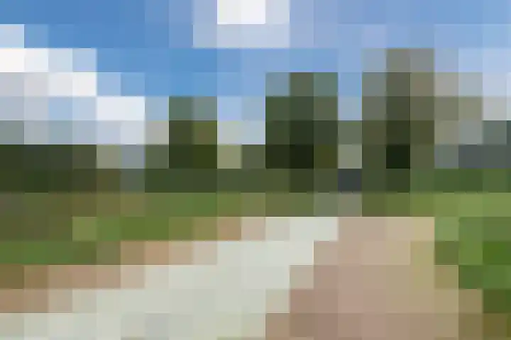 Zuidzijde 78 Bodegraven thumbnail 53