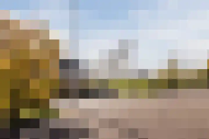 Zuidzijde 78 Bodegraven thumbnail 6