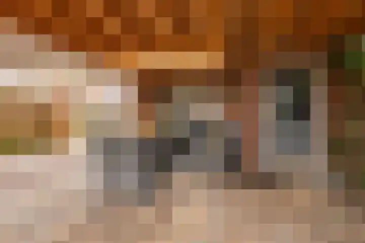 Zuidzijde 78 Gasselternijveenschemond thumbnail 38