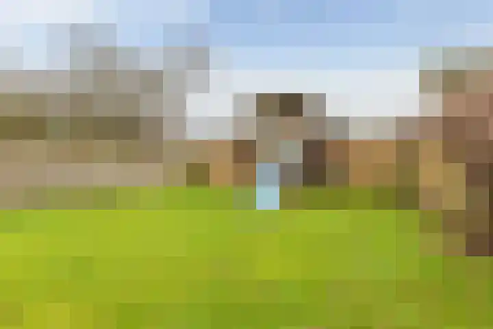 Zuidzijde 78 Gasselternijveenschemond thumbnail 42