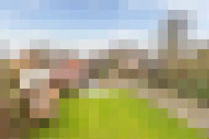 Zuidzijde 78 Gasselternijveenschemond thumbnail 43