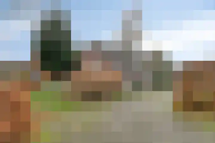 Zuidzijde 8 Odoornerveen thumbnail 12