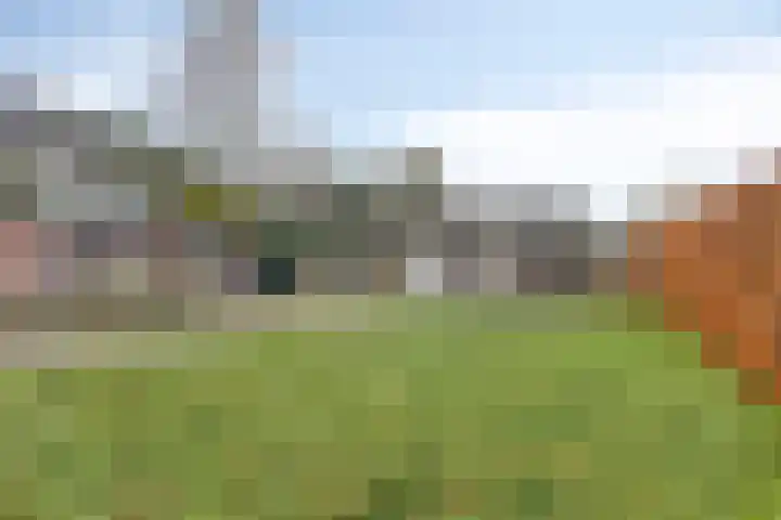 Zuidzijde 8 Odoornerveen thumbnail 14