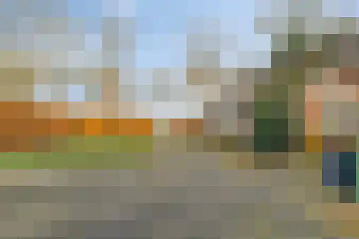 Zuidzijde 8 Odoornerveen thumbnail 15