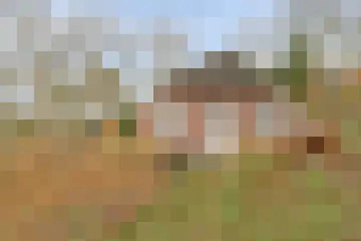 Zuidzijde 8 Odoornerveen thumbnail 16