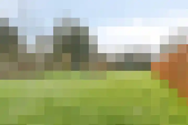 Zuidzijde 8 Odoornerveen thumbnail 17