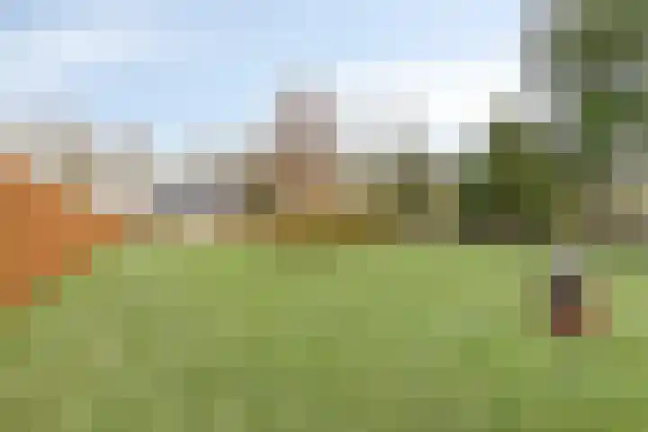 Zuidzijde 8 Odoornerveen thumbnail 18