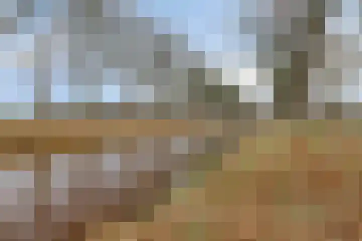 Zuidzijde 8 Odoornerveen thumbnail 21
