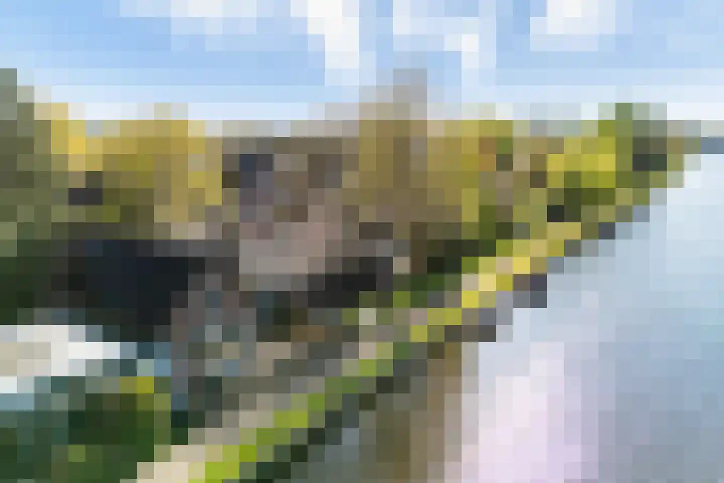 Zuidzijde 89 en Bodegraven