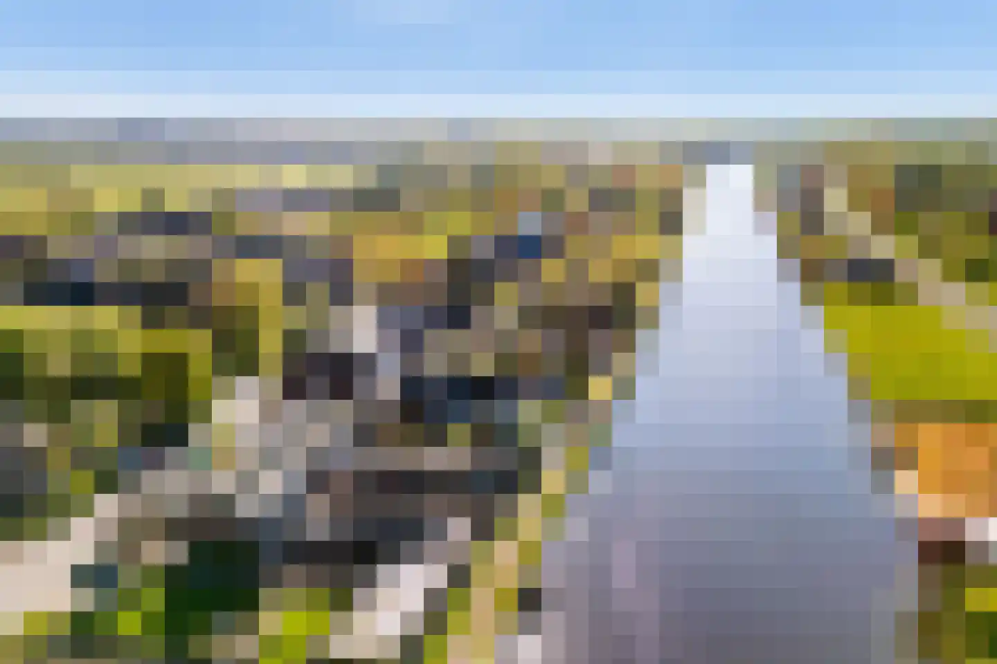 Zuidzijde 89 Bodegraven thumbnail 46