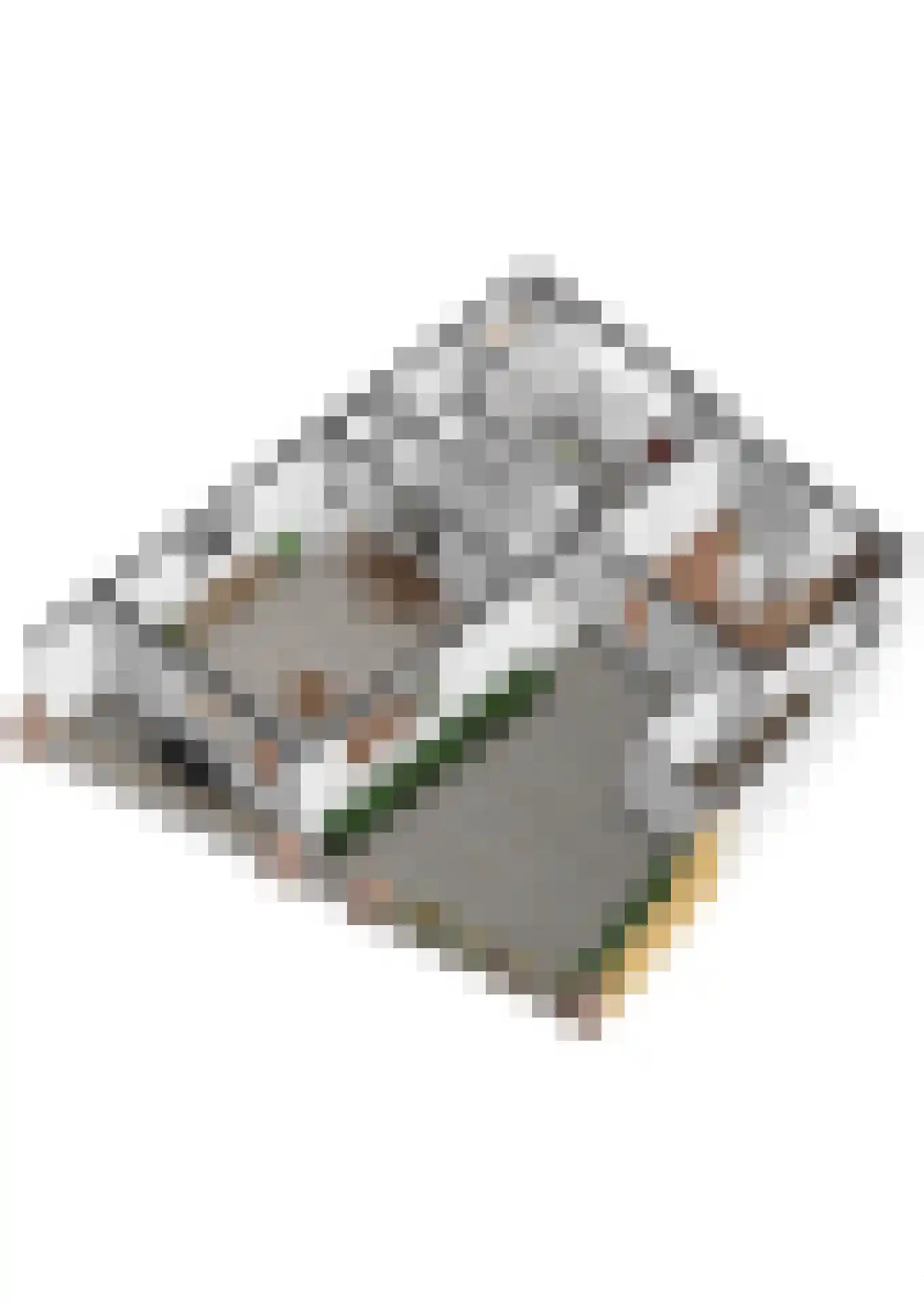 Zuidzijde 89 Bodegraven thumbnail 53