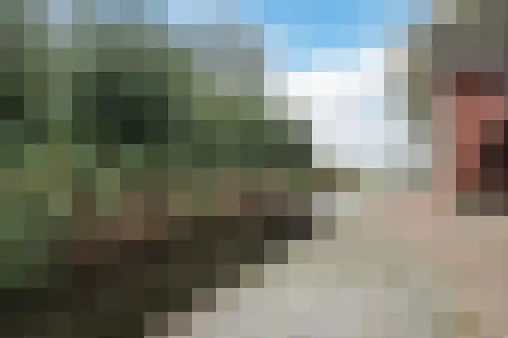 Zuidzijde 95 Bodegraven thumbnail 34