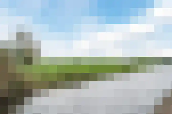 Zuidzijde 95 Bodegraven thumbnail 35