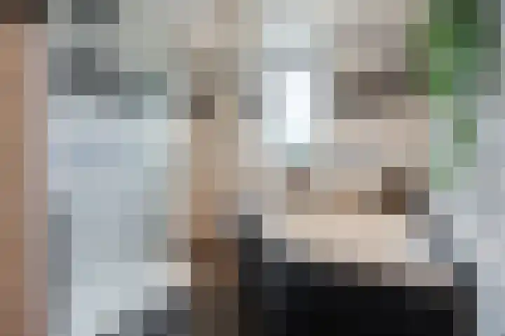 Zuidzijde 95 Bodegraven thumbnail 4
