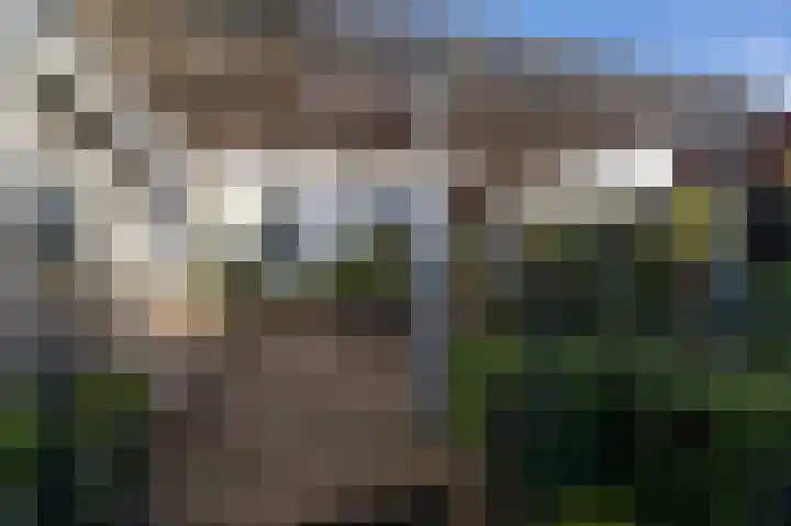 Zuidzijde Haven 19 Goedereede thumbnail 38