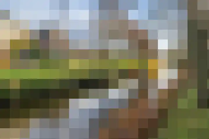 Zuidzijde Haven 19 Goedereede thumbnail 5