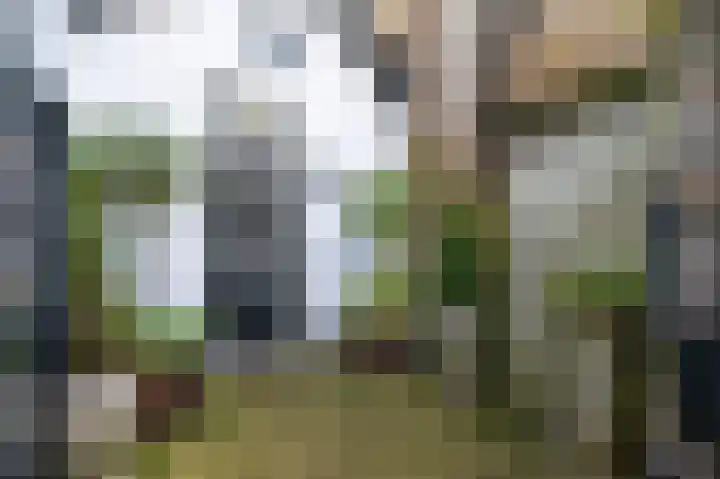 Zuidzijde Haven 19 Goedereede thumbnail 9