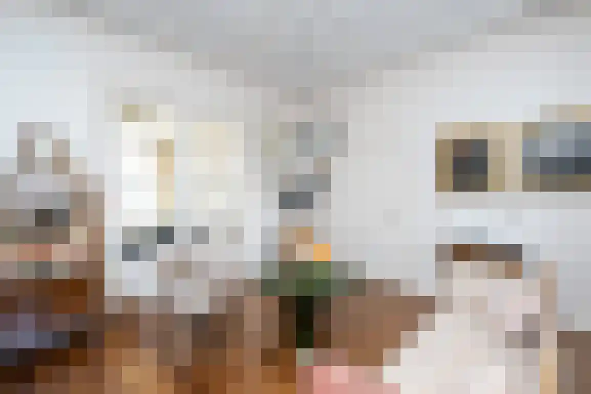 Zuidzijde Haven 4 Goedereede thumbnail 11