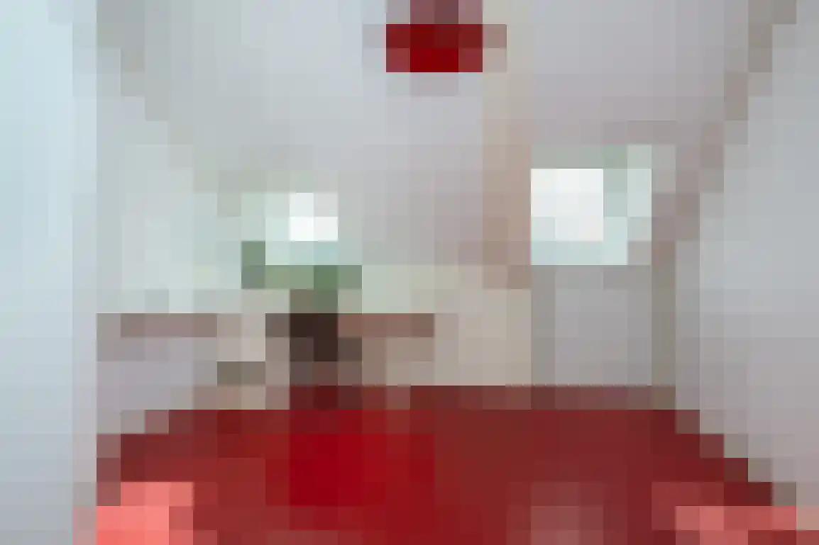 Zuidzijde Haven 4 Goedereede thumbnail 33