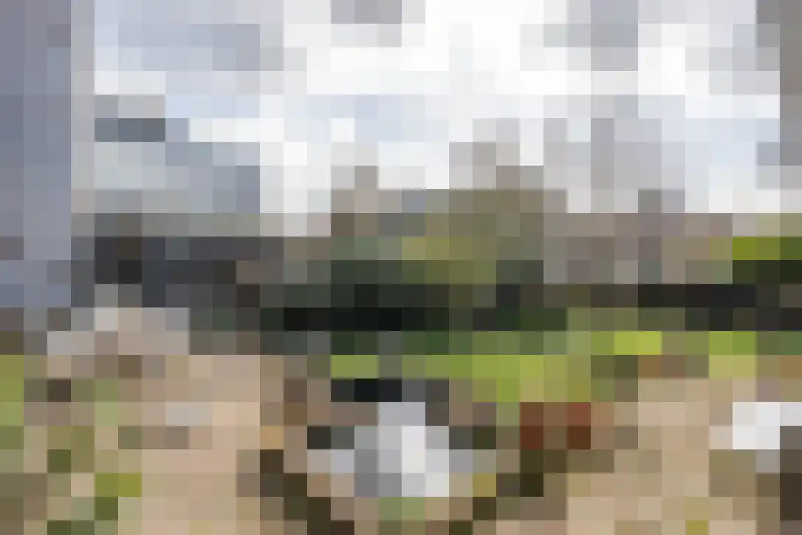 Zuidzijde Haven 4 Goedereede thumbnail 47