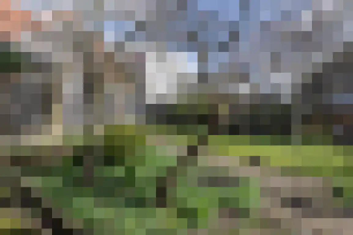 Zuidzijde Haven 4 Goedereede thumbnail 48
