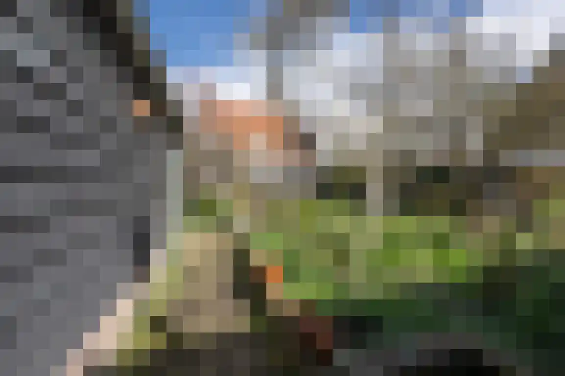 Zuidzijde Haven 4 Goedereede thumbnail 52