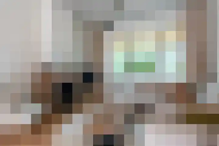 Zuidzijde Zoom 24 Bergen op Zoom thumbnail 11