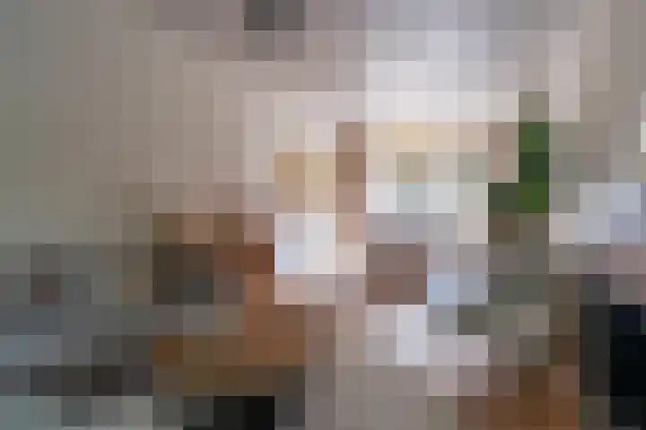 Zuidzijde Zoom 24 Bergen op Zoom thumbnail 16