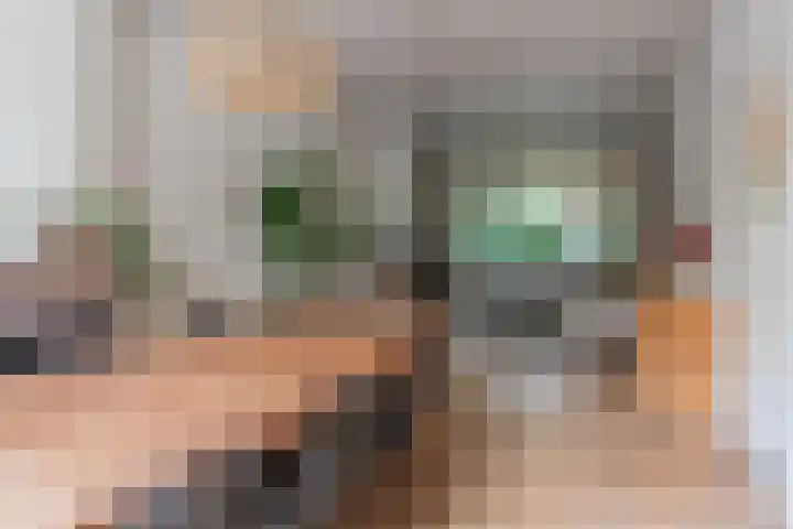 Zuidzijde Zoom 24 Bergen op Zoom thumbnail 18