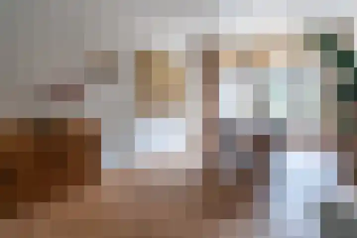Zuidzijde Zoom 24 Bergen op Zoom thumbnail 19