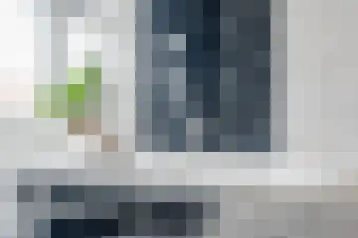 Zuidzijde Zoom 24 Bergen op Zoom thumbnail 35