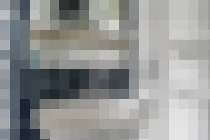 Zuidzijde Zoom 24 Bergen op Zoom thumbnail 36