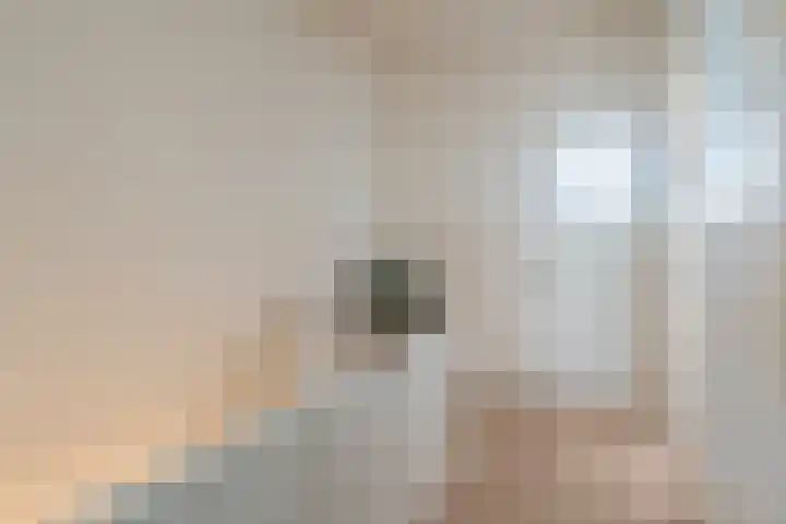 Zuidzijde Zoom 24 Bergen op Zoom thumbnail 38