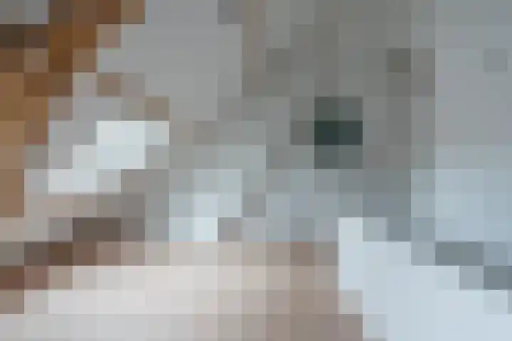 Zuidzijde Zoom 24 Bergen op Zoom thumbnail 39